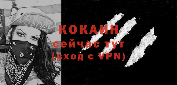 кокс Богородицк