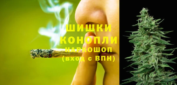 крисы Богданович