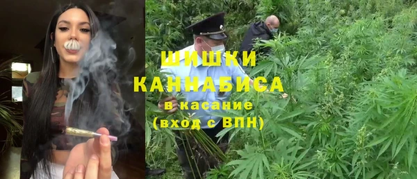 крисы Богданович