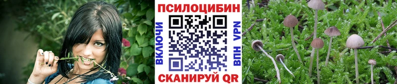 Купить закладки  Ахтубинск  Псилоцибиновые грибы ЛСД 