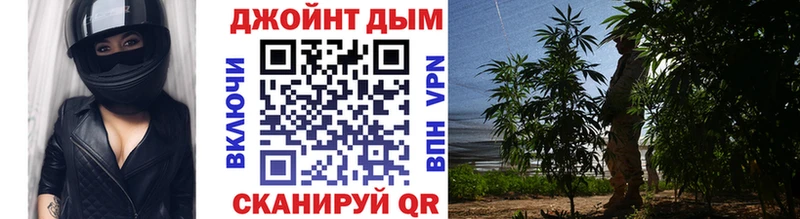 Купить где  Ахтубинск  Бошки марихуана гибрид 
